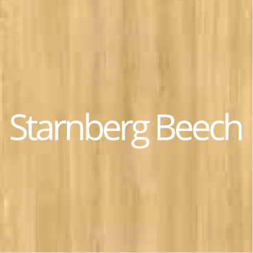 Starnberg-Beech